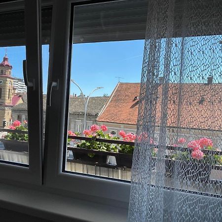 Sunny Apartment Вършац Екстериор снимка